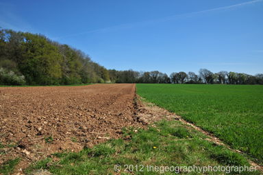 arable