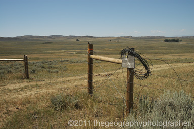 barbed wire