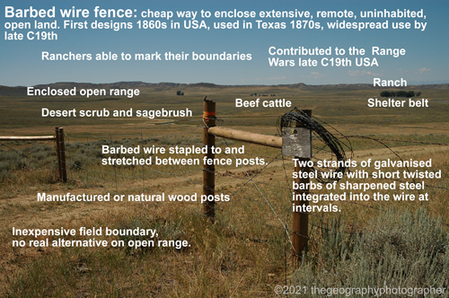 barbed wire