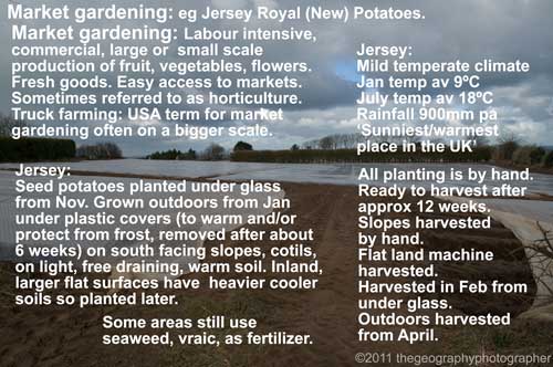 market garden