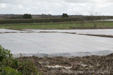 market garden