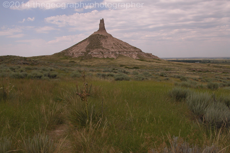 temperate grasslands