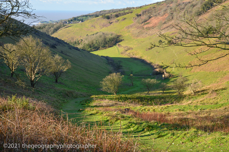 coombe