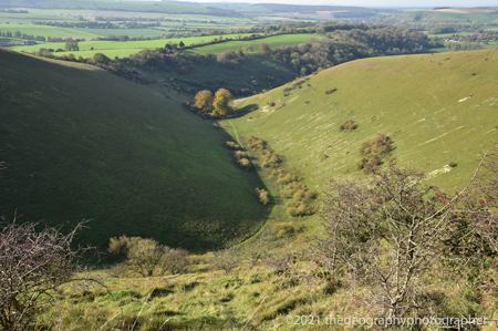 coombe