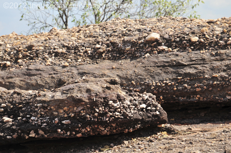 conglomerate
