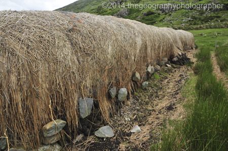 peat cutting