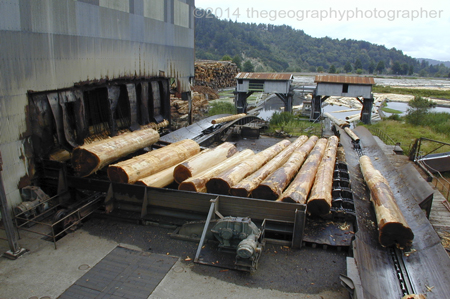 timber