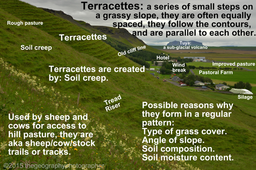 terracettes