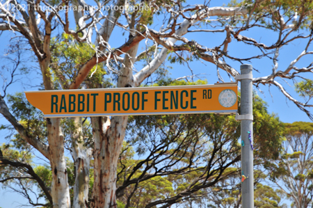 fingerpost
