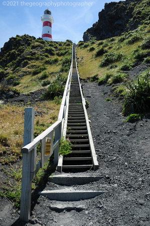 steps