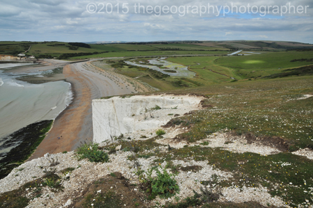 estuary