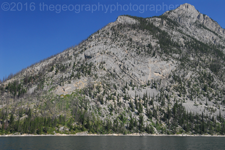 anticline