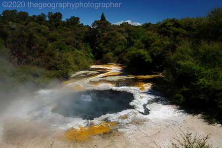 thermophiles