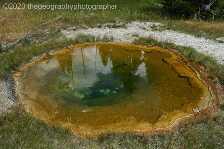 thermophile