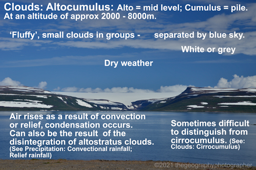 altocumulus