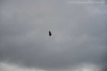stratocumulus